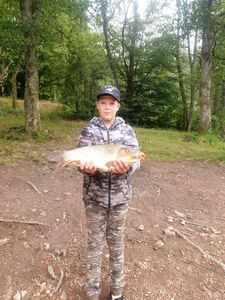 Common Carp