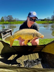 Mirror Carp