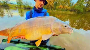 Mirror Carp