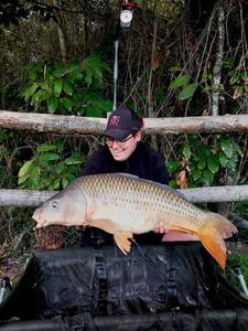 Common Carp