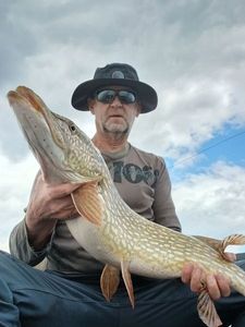 Northern Pike