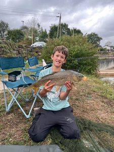 Common Carp
