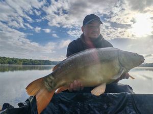 Mirror Carp