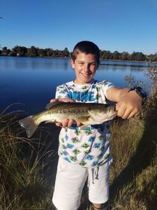 Largemouth Bass