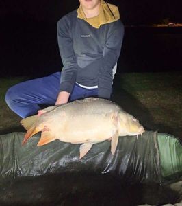 Leather Carp