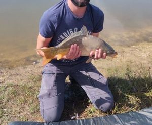 Mirror Carp