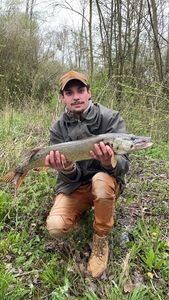 Northern Pike