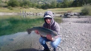Rainbow Trout