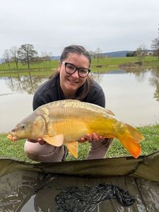 Mirror Carp