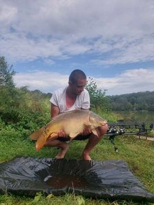 Mirror Carp