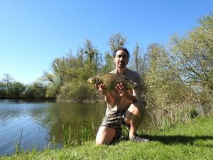 Common Bream