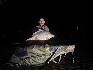 Mirror Carp