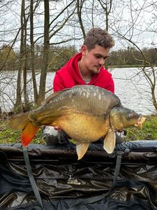 Mirror Carp