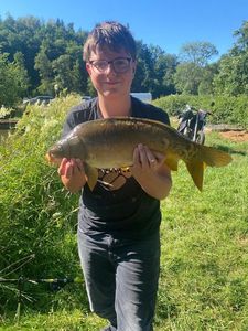 Mirror Carp