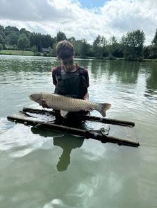 Grass Carp