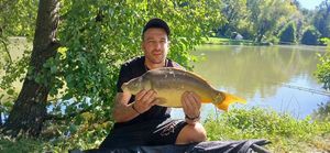 Mirror Carp