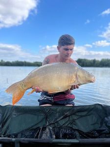 Mirror Carp