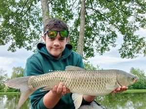 Grass Carp