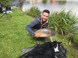Mirror Carp