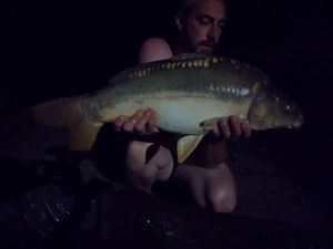 Mirror Carp