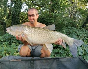 Grass Carp