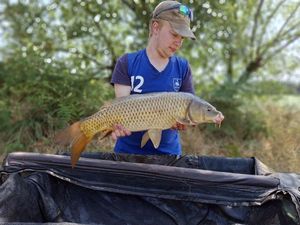 Common Carp