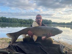 Grass Carp