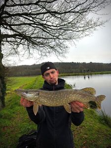 Northern Pike