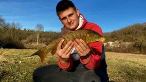 Common Carp