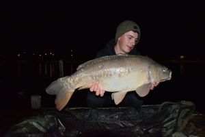 Mirror Carp