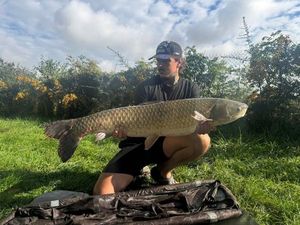 Grass Carp