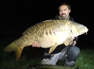 Mirror Carp