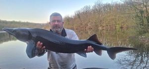 Sturgeon