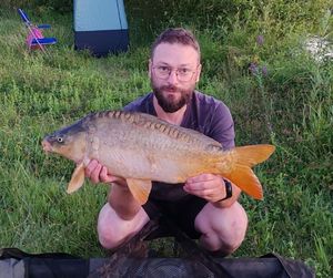 Mirror Carp