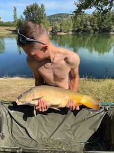 Mirror Carp