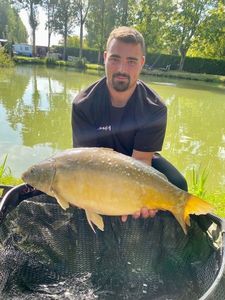 Mirror Carp
