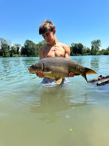 Mirror Carp
