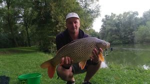 Common Carp