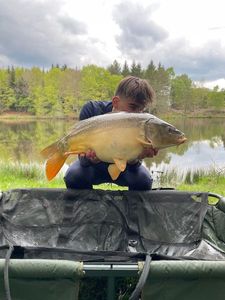 Mirror Carp
