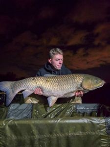 Grass Carp
