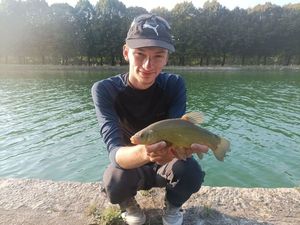 Tench