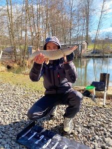 Chain Pickerel