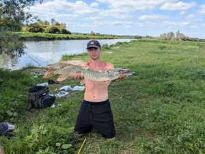 Northern Pike