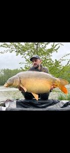 Mirror Carp