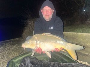 Mirror Carp