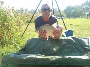 Common Bream