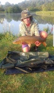Common Carp