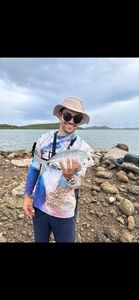 Giant Trevally (GT)