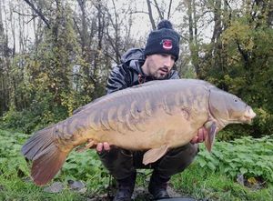 Mirror Carp