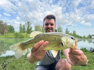 Largemouth Bass
